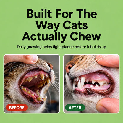 Cotton Dental Chew Rope for Cats