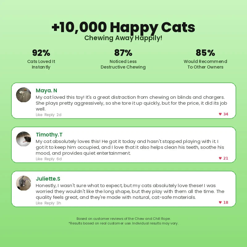 Cotton Dental Chew Rope for Cats