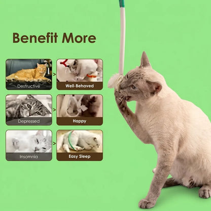 Cotton Dental Chew Rope for Cats